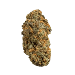 Remexian 30/1 PRT MTP Mokum&rsquo;s Tulip